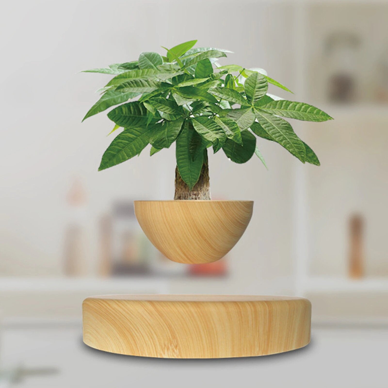 Levitating Plant Pot