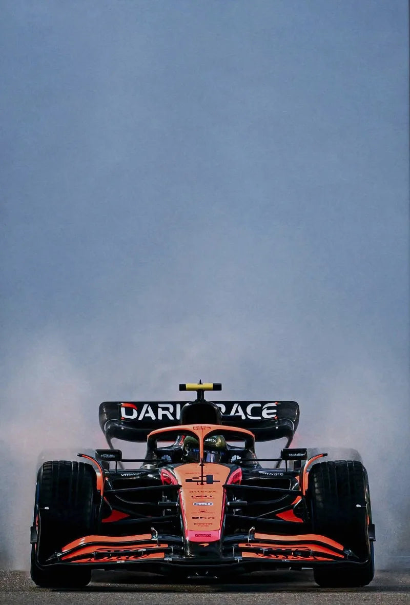 Motorsport Racing Track & Race Cars Poster