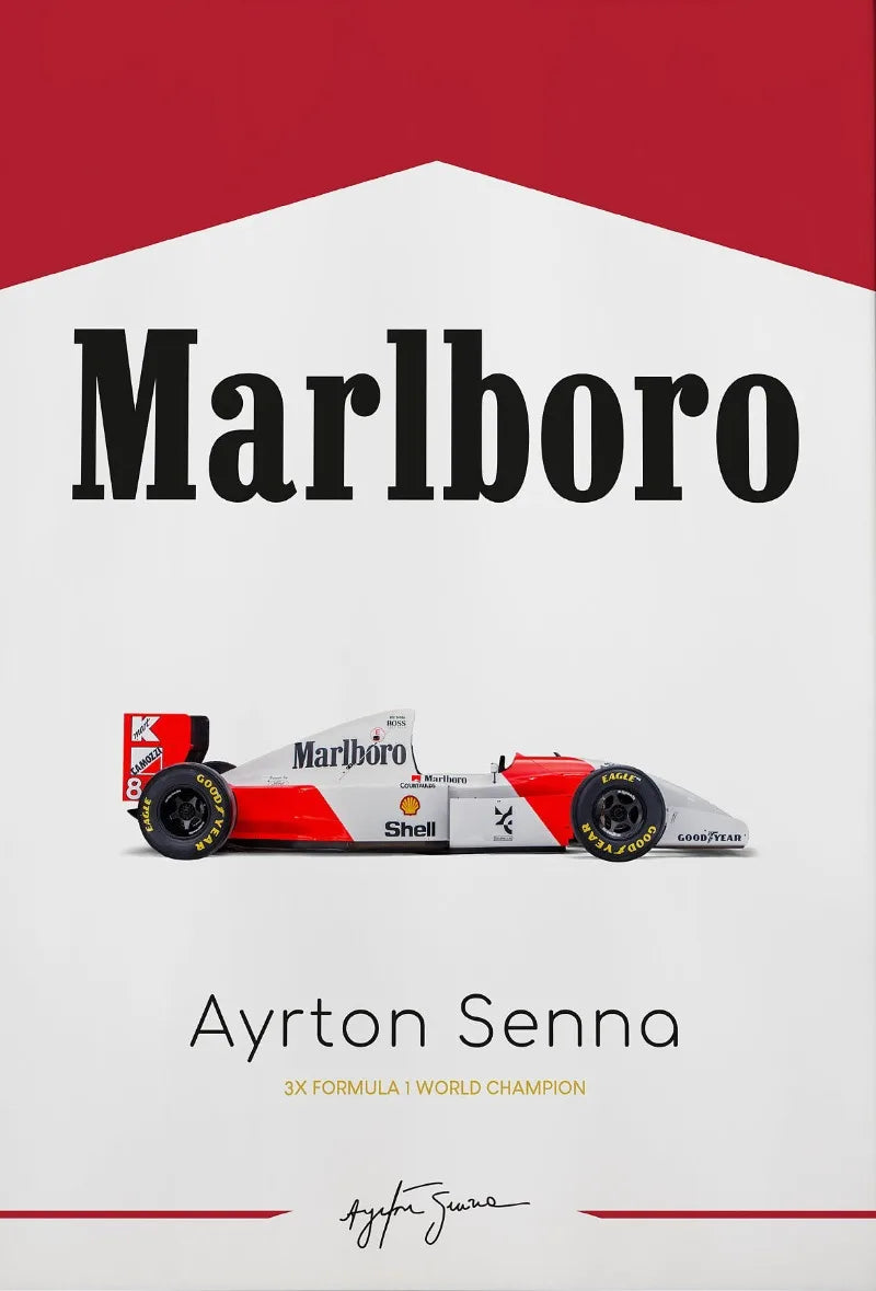 Motorsport Racing Track & Race Cars Poster