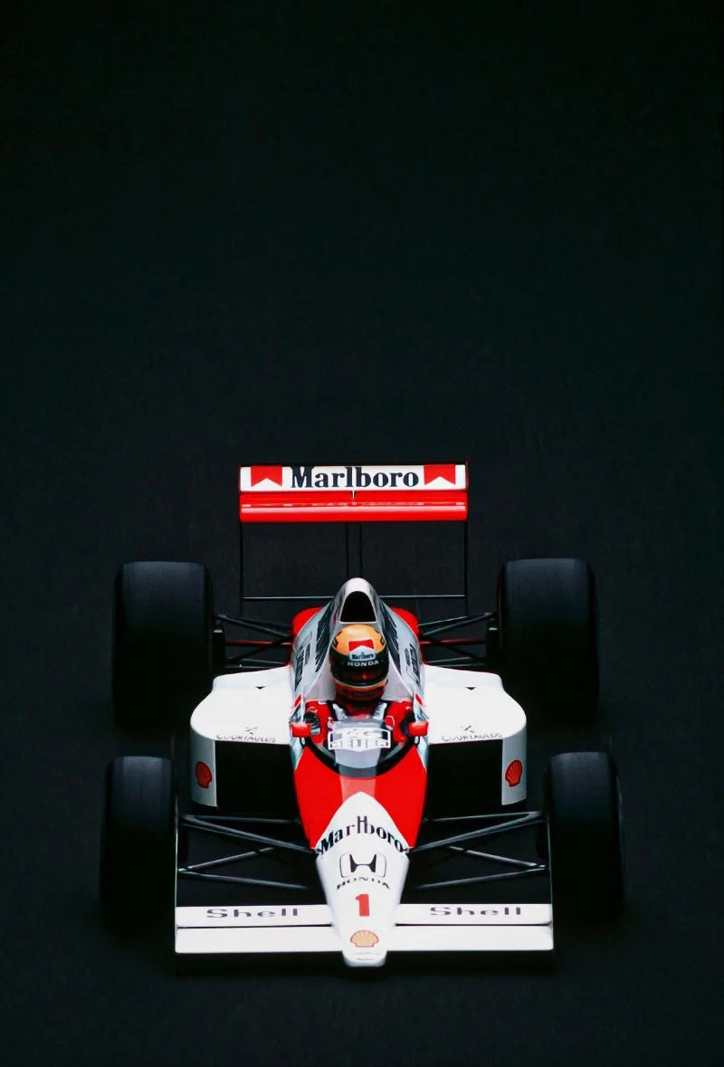Motorsport Racing Track & Race Cars Poster