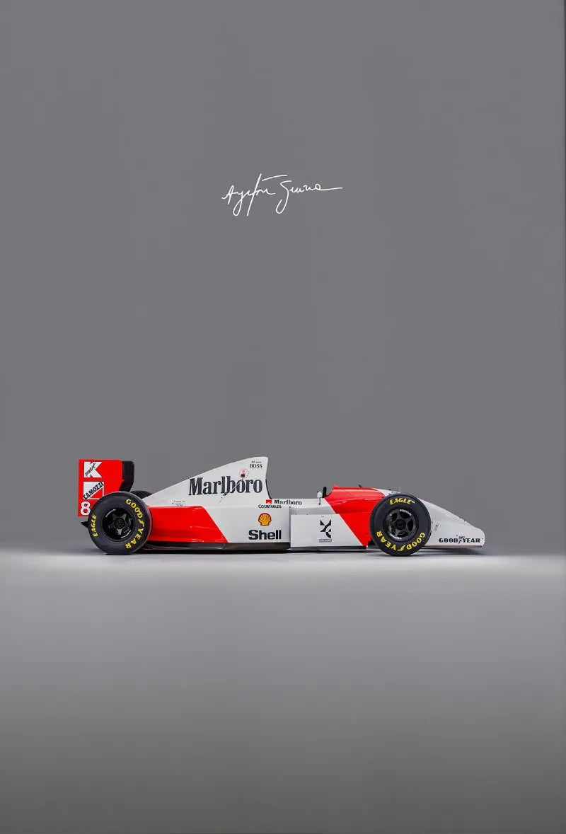 Motorsport Racing Track & Race Cars Poster